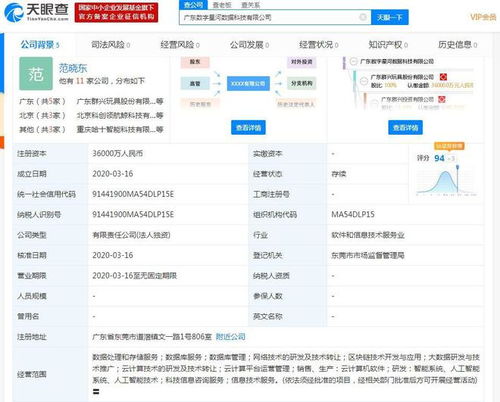 群兴玩具拟3.6亿元设立子公司，战略布局大湾区数字经济产业，聚焦数据处理与存储服务